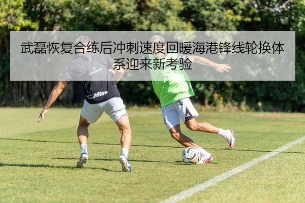 武磊恢复合练后冲刺速度回暖海港锋线轮换体系迎来新考验